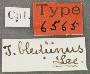 Media type: image; Entomology 6565   Aspect: labels